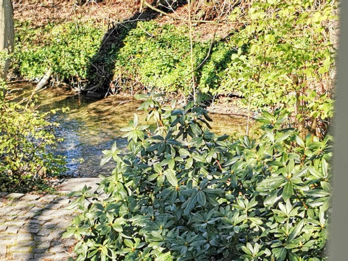 Hr Cottage Am Honigbach Coesfeld Eksteriør bilde